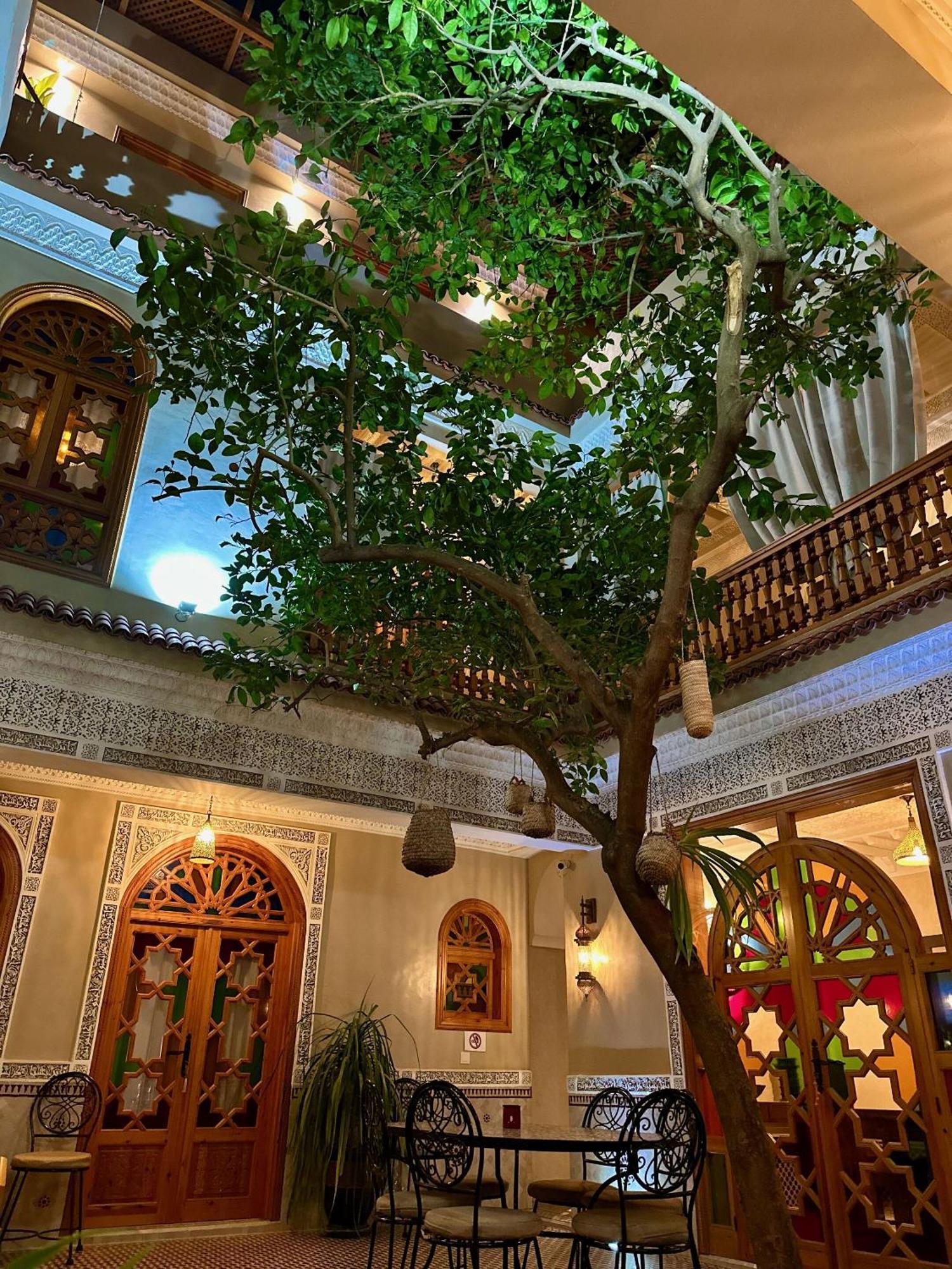 Riad Shajara Marrakesh Ngoại thất bức ảnh